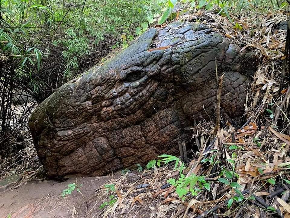 เช่ารถตู้สกลนคร เบอร์รถตู้สกลนคร 0878151535